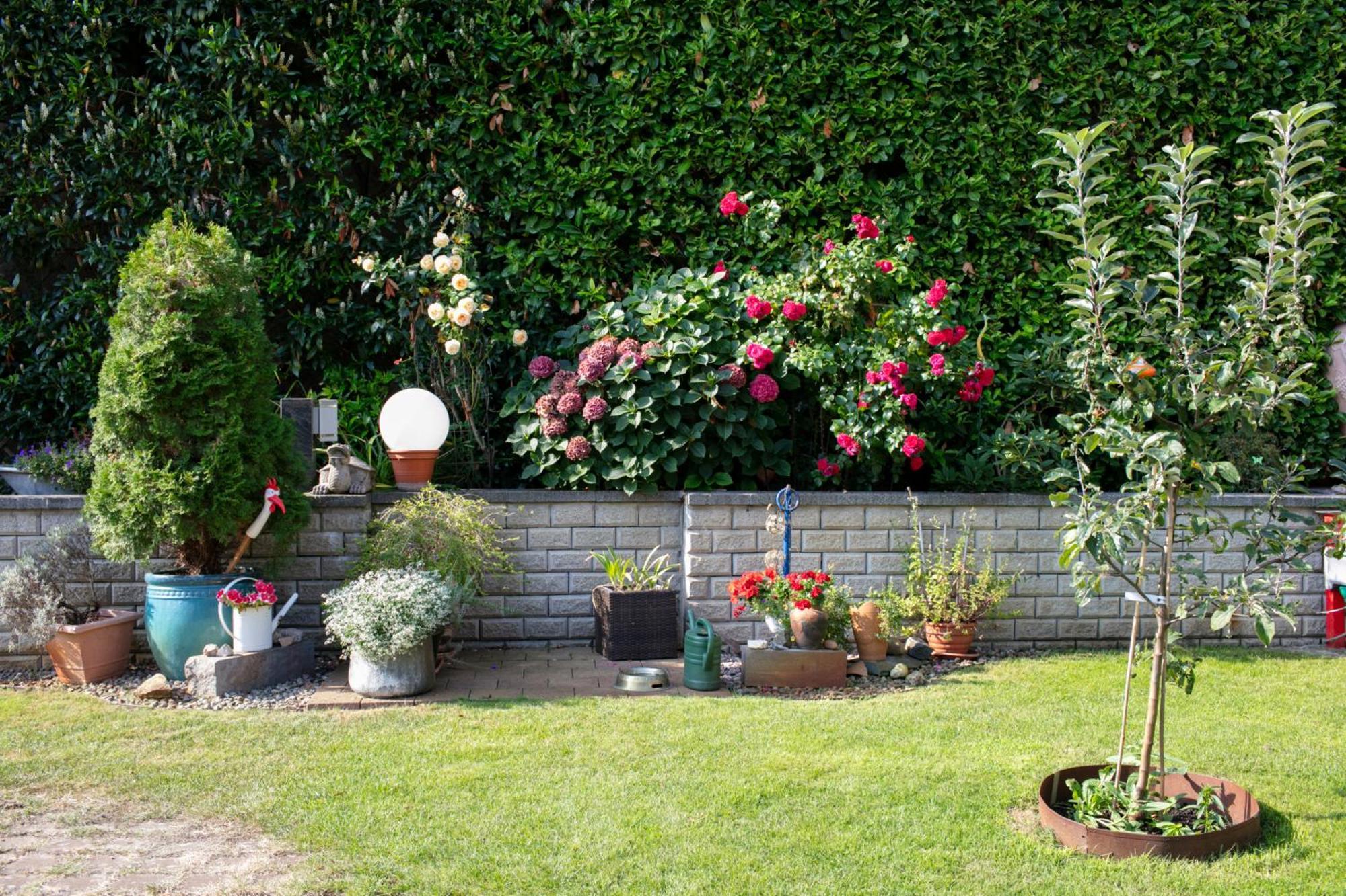 Ferienhaus Jasmin Neuruppin Exterior foto